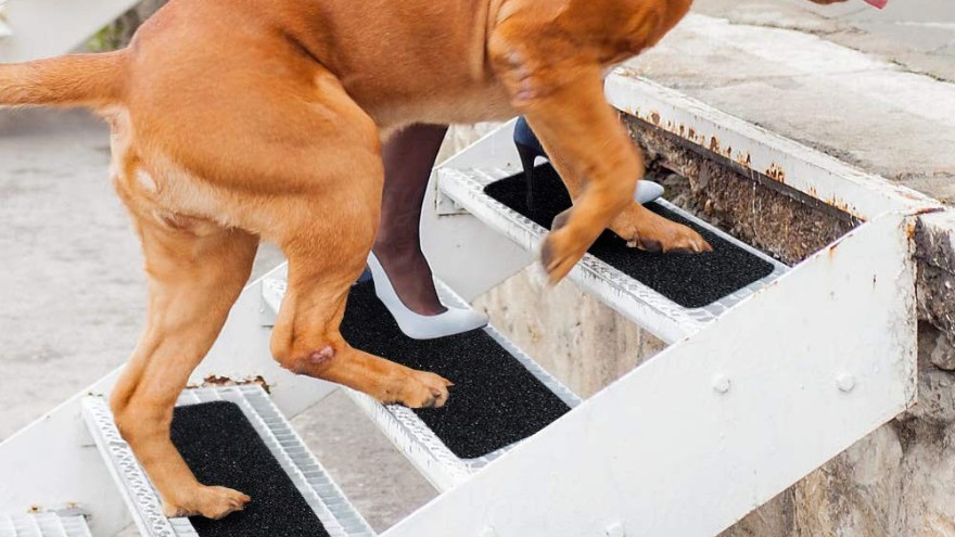 防滑貼，撐起一把生命的保護傘-防滑貼大量批發供應【昆山玉寰】